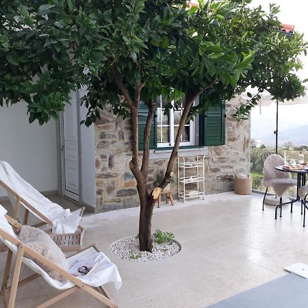 Casinha Da Colina Villa Alfândega da Fé Buitenkant foto