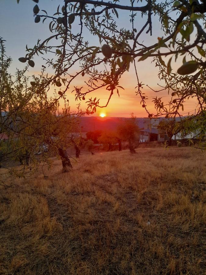 Casinha Da Colina Villa Alfândega da Fé Buitenkant foto